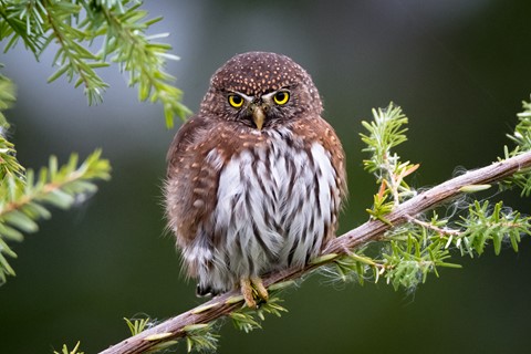 Photo by Bodkins Best Photography