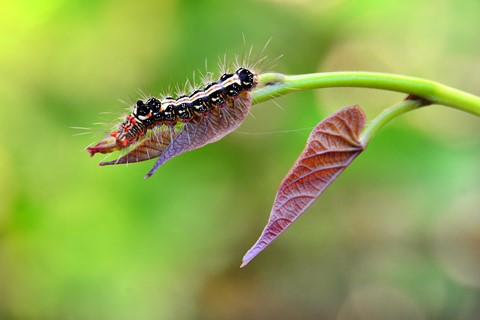 Photo by Flor Tempra