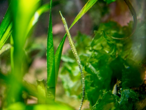 Photo by Barry  Twycross