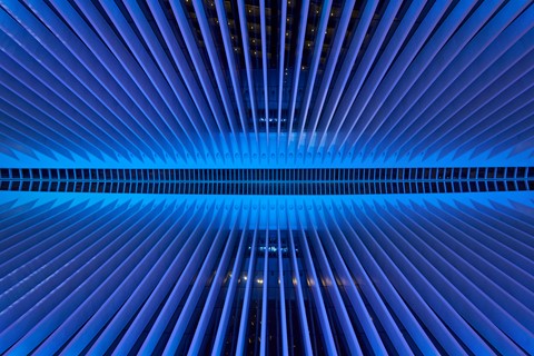 Photo by BrentSchumer