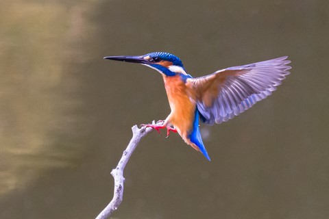 Photo by Here Comes the Angel