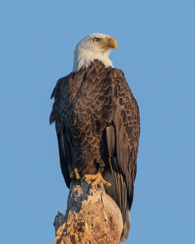 Photo by Southernboy88