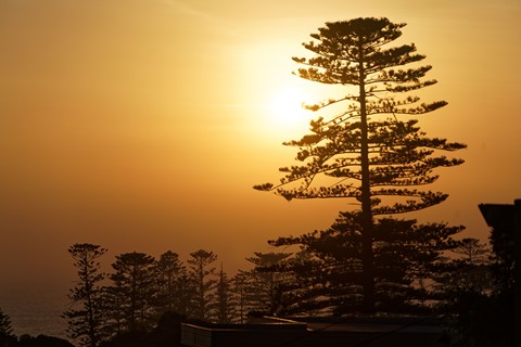 Photo by vdamjanovski