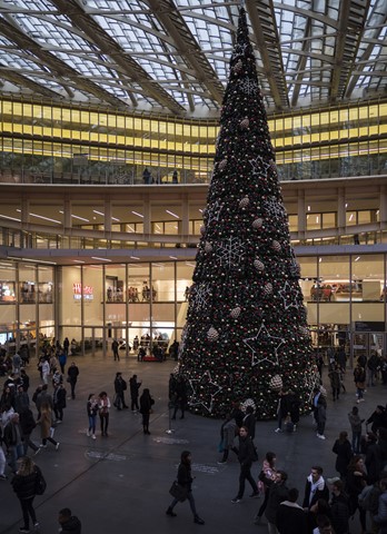 Photo by coastallandscape