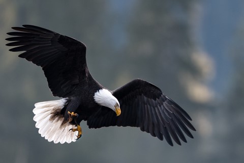 Photo by Bodkins Best Photography