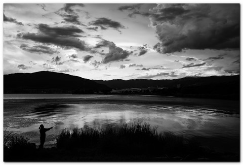 Photo by Great Bustard