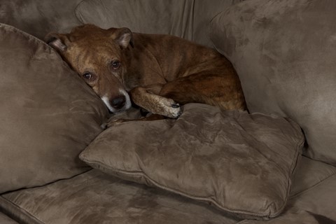 Photo by bladerunner6