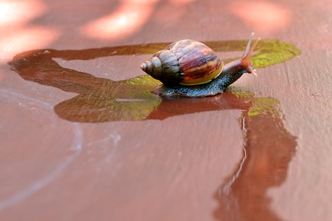 Photo by Flor Tempra