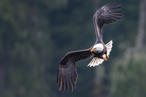 Photo by Bodkins Best Photography