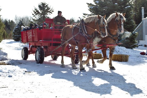 Photo by "It's the Most Wonderful Time of the Year"