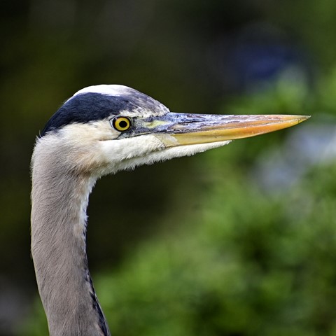 Photo by itsallBb2me