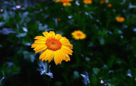 Photo by neoofmatrix