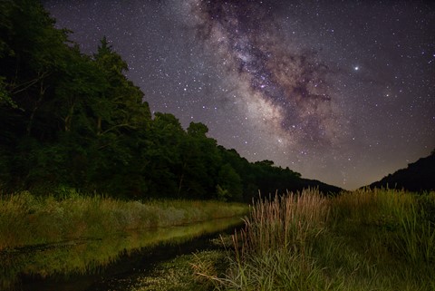 Photo by Sidie Hollow Camping - Viroqua, WI
