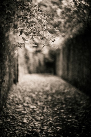 Photo by themountainphotographer