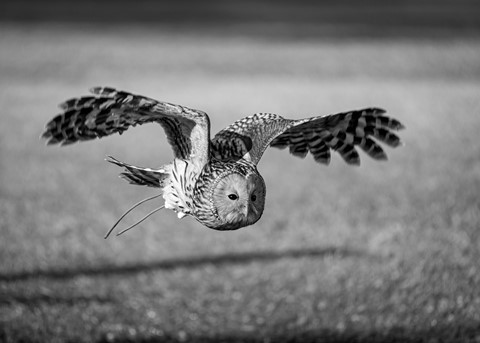 Photo by Apples2Oranges Photography