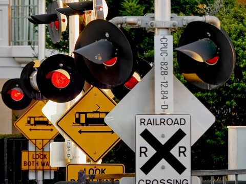 Photo by Barry  Twycross