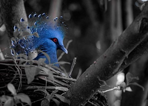 Photo by Apples2Oranges Photography