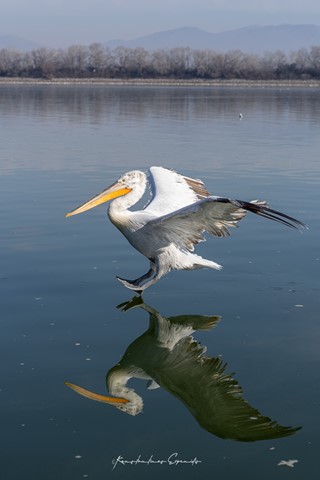 Photo by Konstantinos Evgenidis