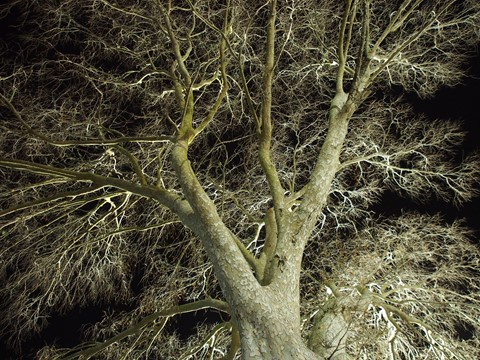 Photo by cajunphotoz