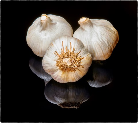 Photo by donaldc2017