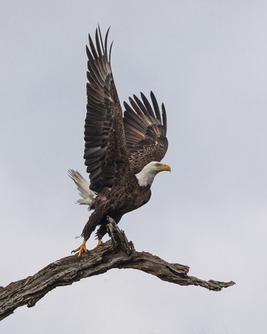 Photo by Southernboy88