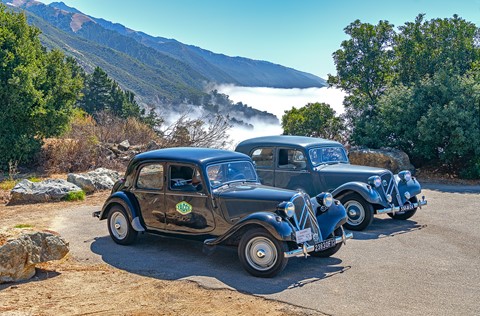 Photo by Dennis Bayer