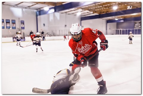 Photo by Great Bustard
