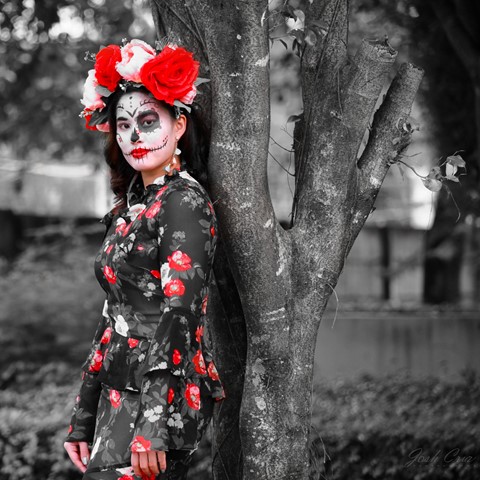 Photo by Larawanista