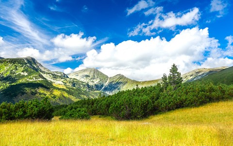 Photo by Marius Mugur