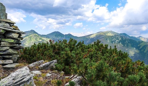 Photo by Marius Mugur