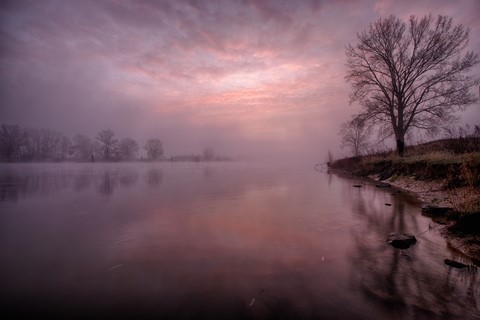 Photo by Frank van Eck