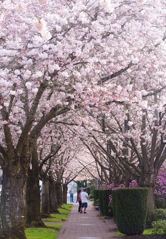 Photo by Joseph K Boston