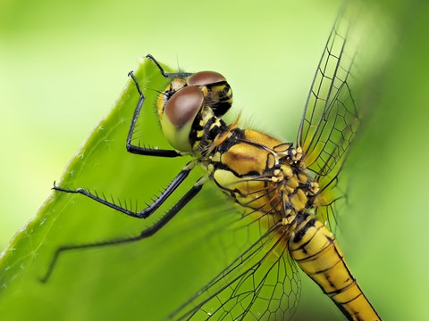 Photo by klaas-Rotterdam