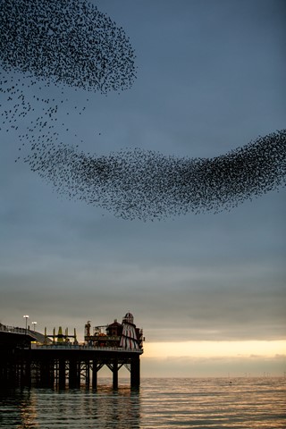 Photo by Swervin Mervin