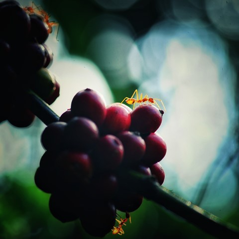 Photo by Shahul Khalid