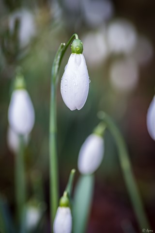 Photo by hectorpatrick