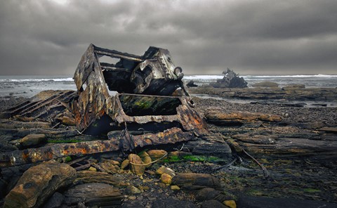 Photo by George Veltchev