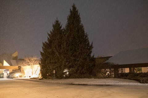 Photo by sergiodaguru