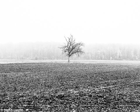 Photo by chromophore