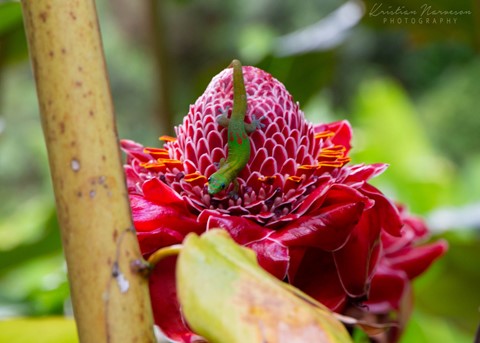 Photo by Kristian1084