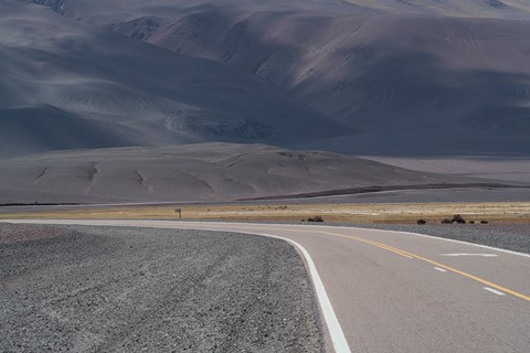 Photo by daniel ackerman