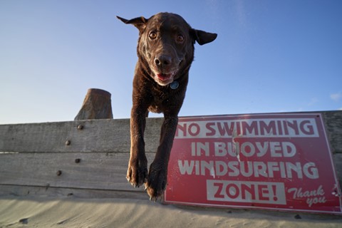 Photo by Cheese Gromit