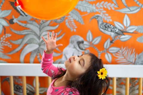 Photo by _DSC5349@1x