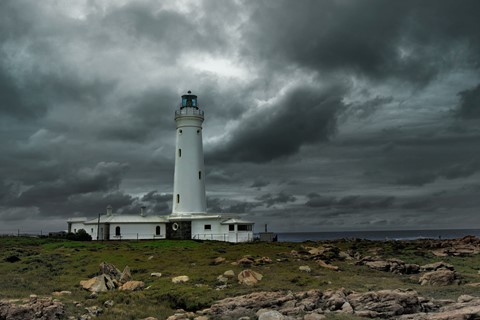 Photo by George Veltchev