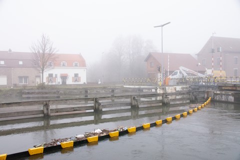 Photo by Lozen  - 005