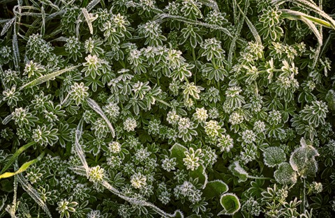 Photo by Holger Bargen