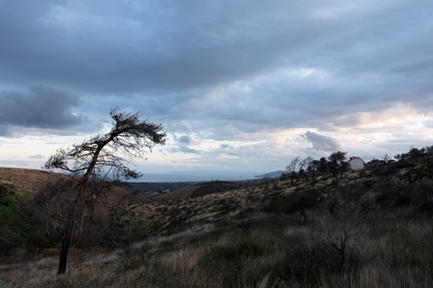 Photo by Start of a Greek Tragedy