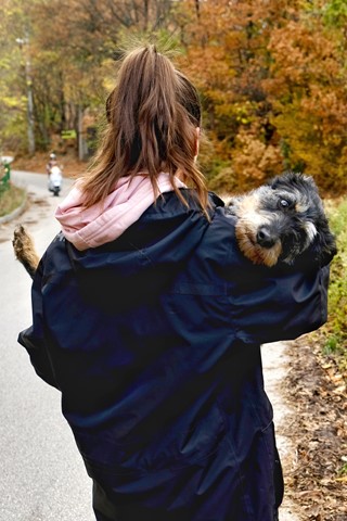 Photo by BabelFishEye