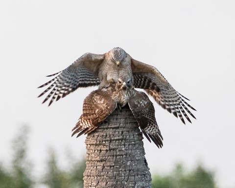 Photo by Southernboy88