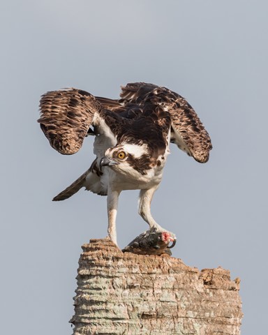 Photo by Southernboy88